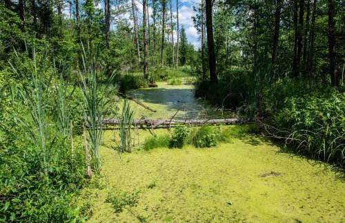 Agroturystyka u Wojtka - Foto 35
