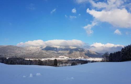 Ferienhaus Chiemgauer Auszeit- Chiemgaukarte inclusive - Foto 42