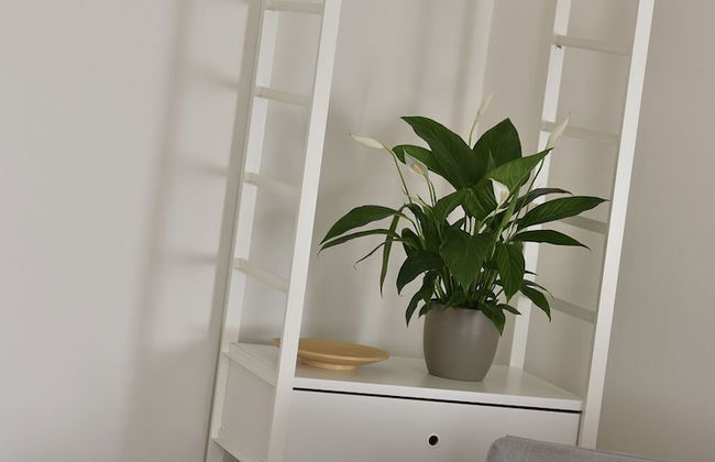 White Swan Boutique Apartments - Foto 60