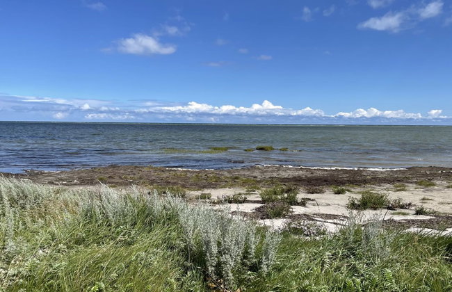 "Desche" - 300m from the sea - Foto 10