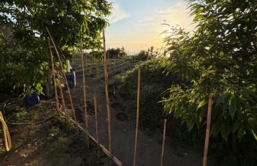 Villetta Ischitana - Terrazza con Giardino - Foto 78