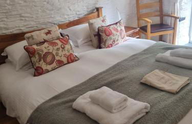 Little Owl - Photo 2