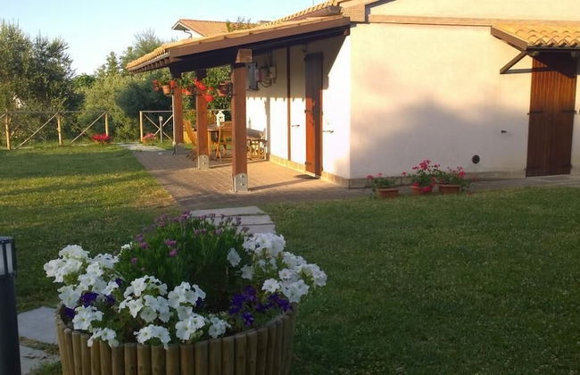 Agr. La Casa Della Lavanda - Il Rustico - Photo 22