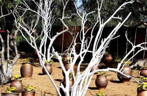 Cozy House with Amazing View and Unique Outdoor! - Foto 20