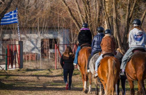 Dimitra 's house - Photo 13