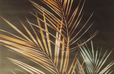 Graeff luxury Apartment - Foto 13