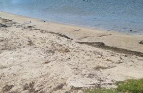 Optimist Sunlife Ostsee - Foto 15