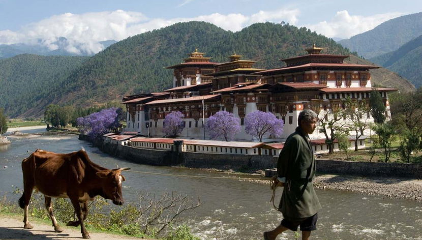 Circuito privado de 8 días por Bután - Foto 2, Una escena típica en Punakha
