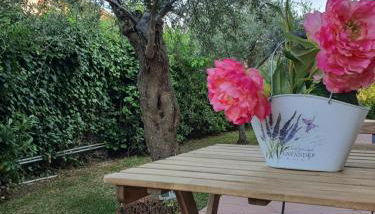 Villa Martina - Foto 1, Garden