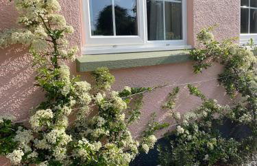Garden cottage near River Exe - Foto 6