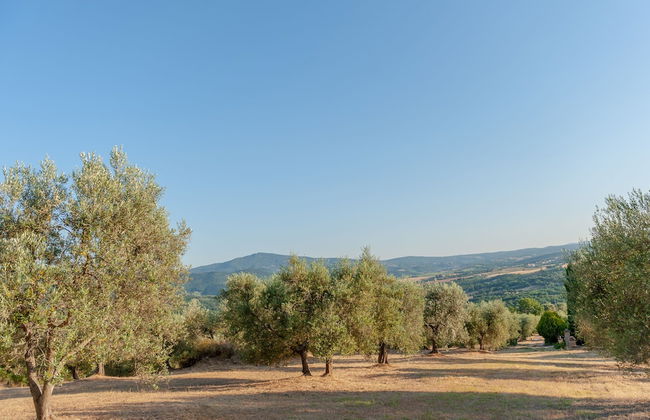 Agriturismo Vocabolo Poggio del Pero - Foto 70