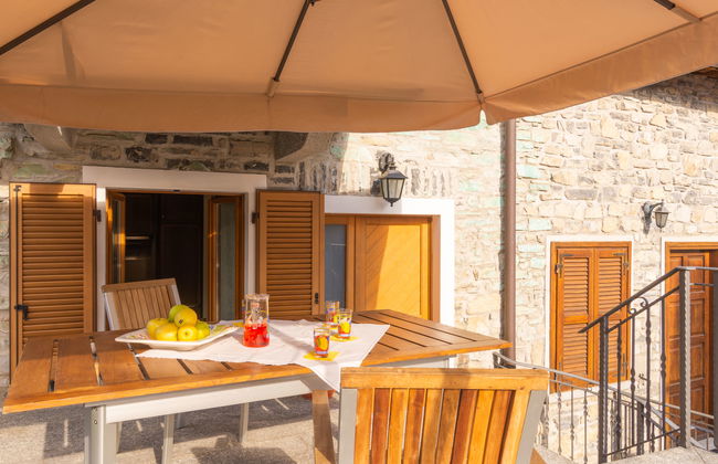 Rosa (VNA205) - Foto 1