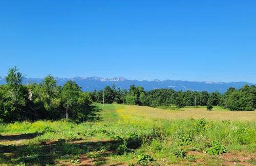 Villa Zora - Oaza mira u srcu Like - Foto 19