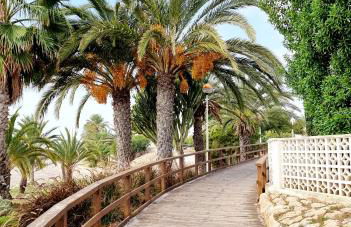 Mirador APARTMENTS BEACH FIRST LINE - Photo 53