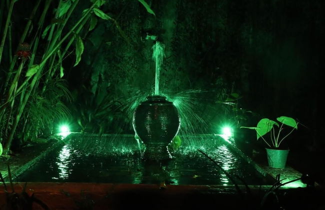 Colonial Residence Kandy - Foto 59