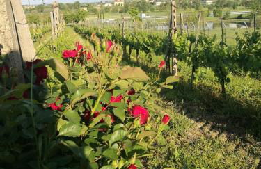 Il Melograno - Foto 18