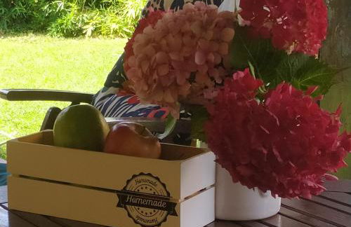 El Rincón de las Marismas - Foto 12