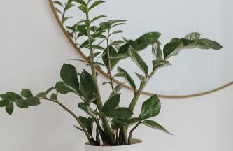 Casa da Sereia - Foto 16