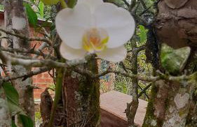 Rancho Esperança, pouso e comida a lenha - Foto 29