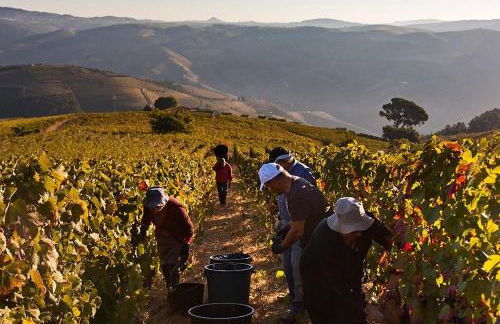 Quinta dos Espinheiros - Photo 9