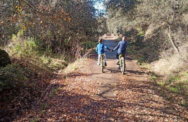 Casa Monte Los Peñasquitos - Photo 41