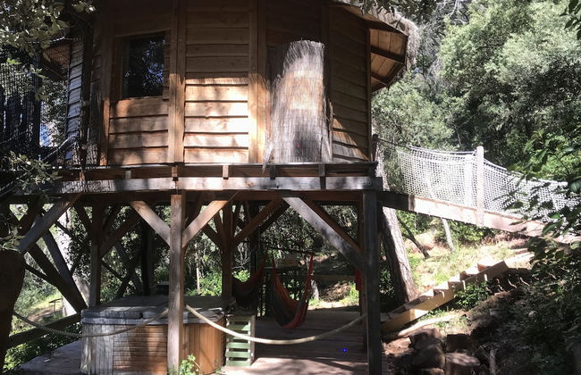 Domaine de la Tuilière - Foto 8