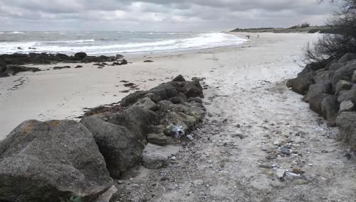 La palmeraie de brévy - Foto 4