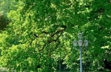 Stilvolles Landhaus mit Flair - Foto 24