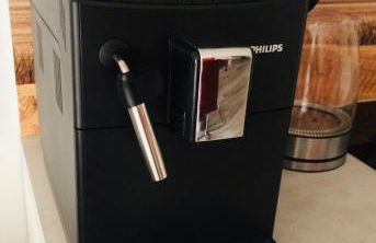 Schilfblume - Foto 36