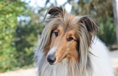 Tenuta Dei Vicini - Luxury Apartments - Foto 9