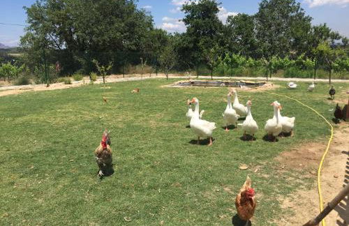 Masia Can Canyes & Spa - Photo 110