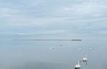 Waterfront Designer Retreat! Stunning Sunsets! Less than 5 minutes to the beach! - Foto 7