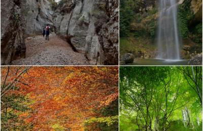 CASA DALMA - Foto 27