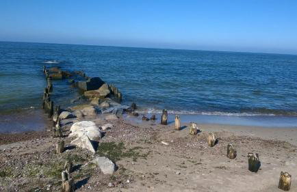 DorJan - Domki Letniskowe - Foto 39