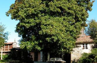 Casa Grande de Cornide Santiago de Compostela - Foto 29