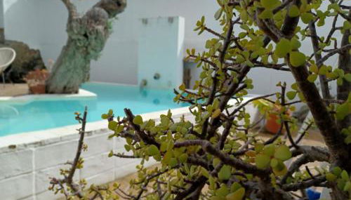 Estrela do Corval - Foto 3