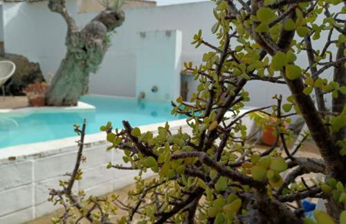 Estrela do Corval - Foto 3