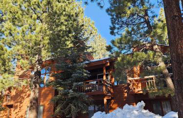 Updated Mammoth condo on Red line - Photo 17