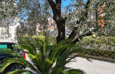 Le peonie - Photo 13