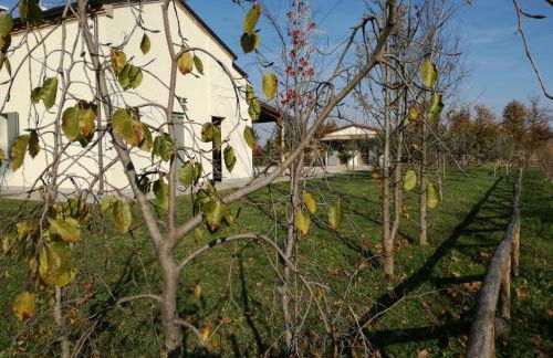 Agriturismo Corte Benetti - Foto 50