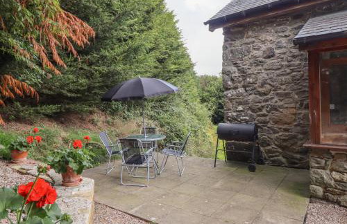 Yr Hen Felin - Foto 15