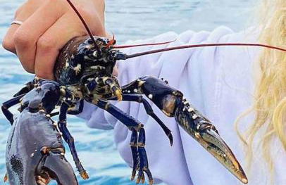 Charming coastal cottage - pet friendly! - Photo 38