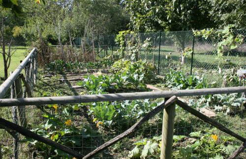 River Melody - Foto 31