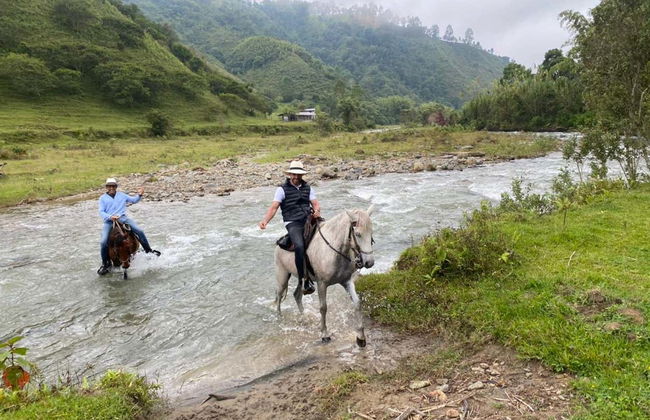 Horseback Riding in Salento - Photo 2