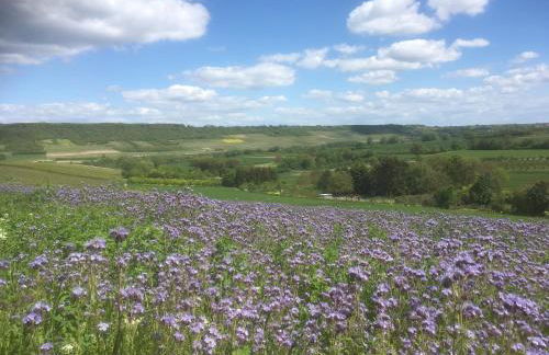 Ferienwohnungen In de goldisch Luft - Foto 20