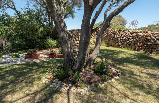 Welcomely - Mediterranea - Foto 11