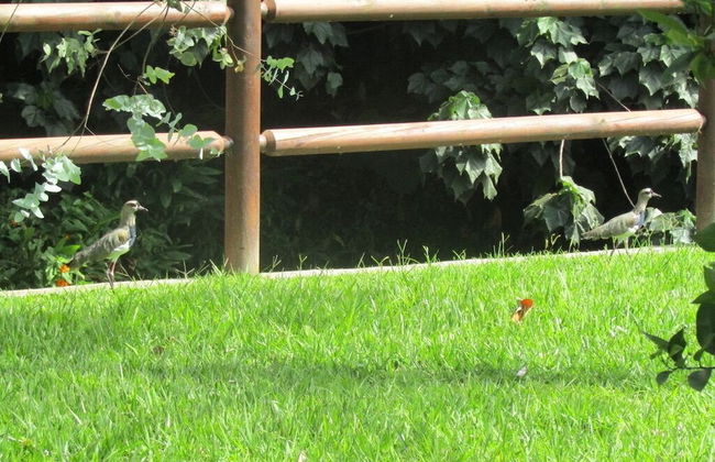 River Front Cabains - Foto 44