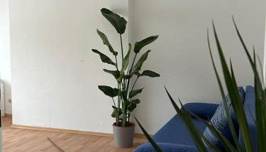 GardenApartment - Foto 5