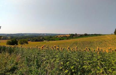 Les Gîtes de La Treille - Foto 19