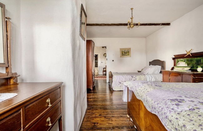 Rosehill House - Foto 49